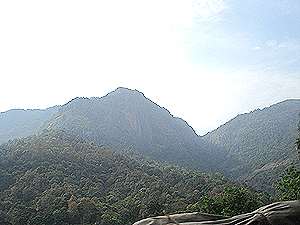 View of Coonoor hill from Burliyar