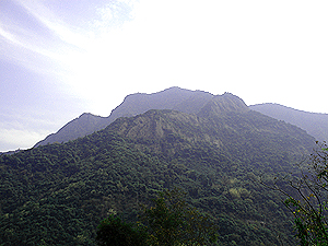 You can view of Blue Hills from the Coonoor Road