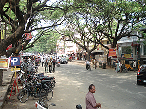 R.S. Puram D.B.Road